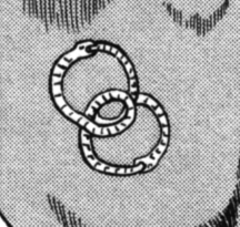 tattoo.png